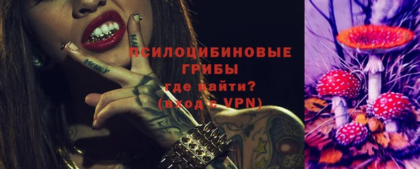 молекула духа Алзамай