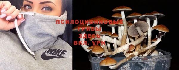 дурь Алексеевка